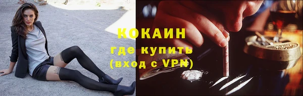 тгк Алексин