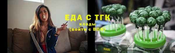 тгк Алзамай