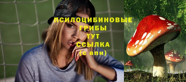 тгк Алексин