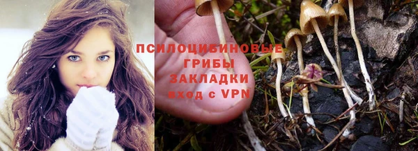 тгк Алзамай