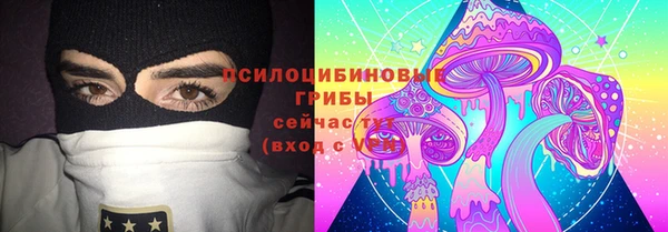 тгк Алексин