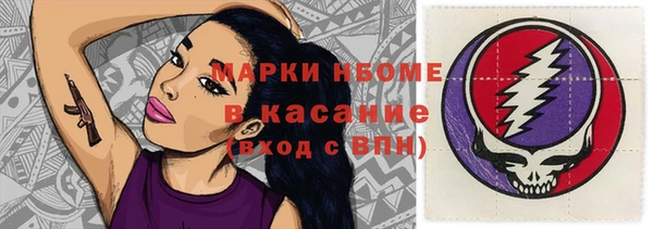 тгк Алзамай
