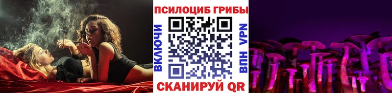 Галлюциногенные грибы Cubensis  Бабушкин 